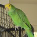 IMG_0028