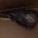 IMG_20110810_105834