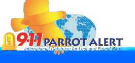 911 Parrot Alert