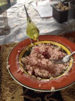 29-05-2014 PERDU PERRUCHE A RIGAUD QC