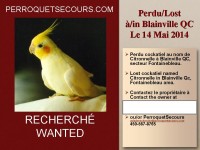 affiche_14_05_2014-cockatiel_Blainville